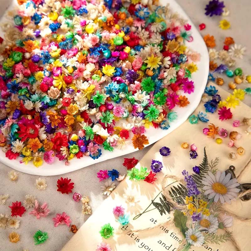Bunga warna-warni campuran unt - Candle Supplies Bulk ulasan dan harga